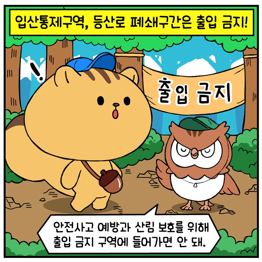 8.건조한 날씨, 산불 예방 수칙 꼭 지켜요!